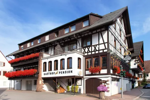 Landgasthof Hotel Hirsch Hotels in LoBburg