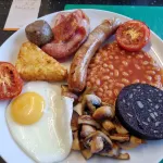 Trevarrian Lodge - Pet friendly