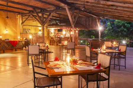 Leopard Walk Lodge Отели рядом с достопримечательностью «Thanda Safari - Private Game Reserve»