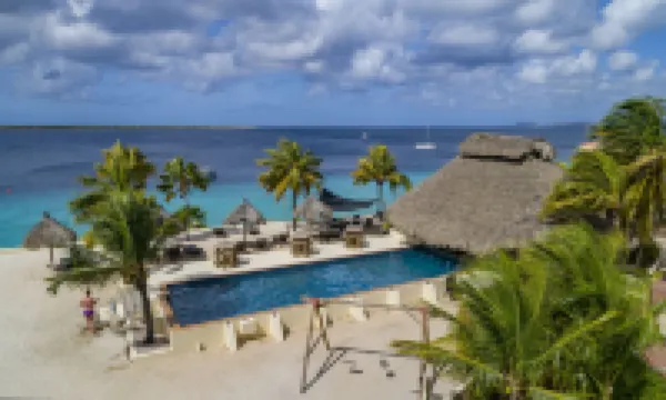 Buddy Dive Resort