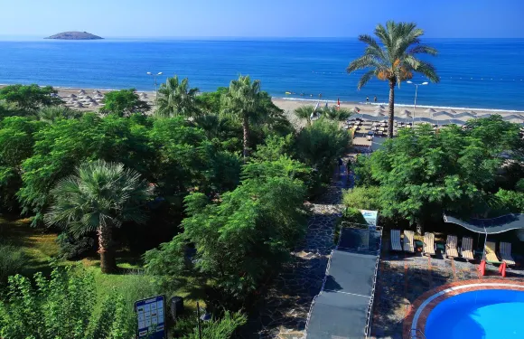 天堂俱樂部仙人掌酒店