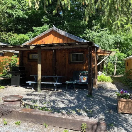 Spotted Sandpiper - Cabin #3
