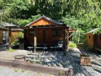Spotted Sandpiper - Cabin #3