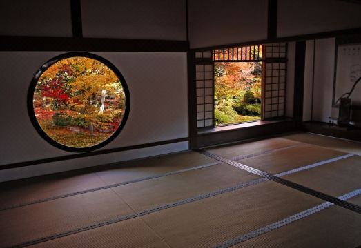 사쿠라 코마치 외관 이미지