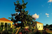 The Hamilton Beach Villas & Spa - spa