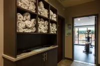 Holiday Inn Express & Suites Riverport Richmond by IHG - Gym