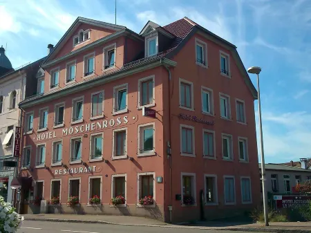 Hôtel Restaurant le Moschenross Отели в г. Гевенхейм