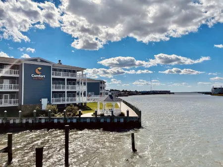 欽科蒂格島海灣舒適套房度假村