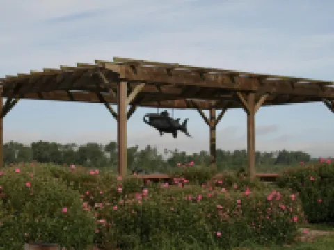 The Redwood Riverwalk, a Boutique Hotel Hoteles en Fortuna