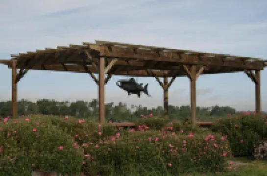 The Redwood Riverwalk, a Boutique Hotel