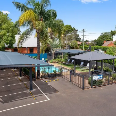 Bluegum Dubbo