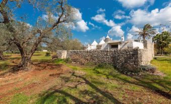 2771 Uliveto Valeria - Trullo Palma by Perle di Puglia