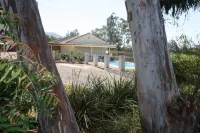 Isis Motel Scone