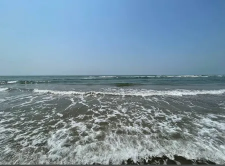 The Bodhi Tree Resort Отели в г. Морджим