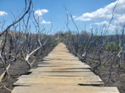 One Life Villas Avellanas Walk to Beach