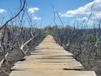 One Life Villas Avellanas Walk to Beach