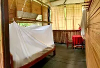 amazonian oropendola tambopata Hotels in 