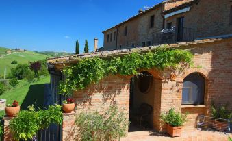 Attractive Farmhouse in Montalcino with Terrace