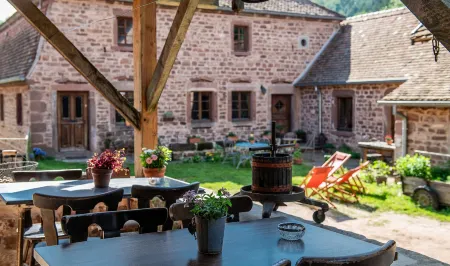 Maison d'hôtes de Charme - Ancien Moulin en Pleine Nature - la Paulusmühle Отели в г. Бусвиллер