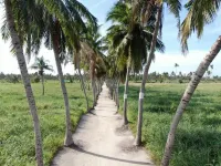 HI HEAVEN MALDIVES