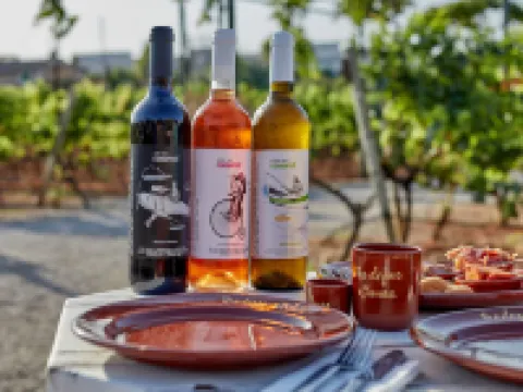 Agroturismo Sa Vinya des Convent Hotels in Inca