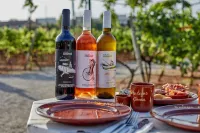 Agroturismo Sa Vinya des Convent