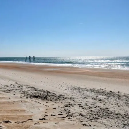 Sandy Feet