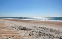 Sandy Feet - Beach