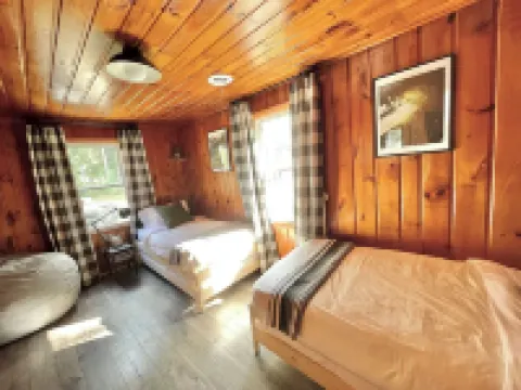 Modern Cabin Higgins Lake; Walk to Hiking, XC Ski, River, Town, Near Golf + Orv