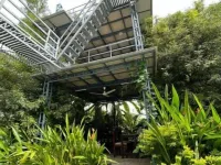 Rain Homestay Hotels in Alleppey
