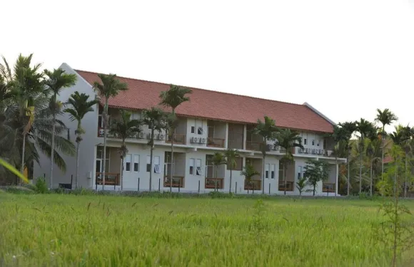 拉文迪什威爾帕圖