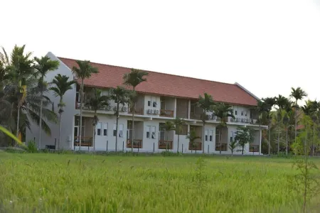 Lavendish Wild Wilpattu Отели в г. Сольявева