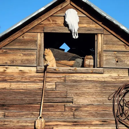 8 Mile Farm B&B