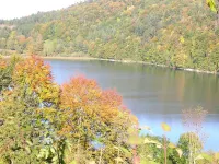 Gite at the heart of the listed site of the 7 lakes and the Cascades of Herisson Hôtels à : Le Frasnois