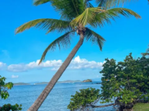 New Listing! Island Bliss • 2Br • 3 Beds • 2 Baths Hotels in Southside