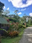 Fully Equipped Bungalow with Private Plunge Pool in Beautiful Jungle Garden