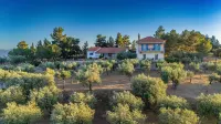 Studio Maistros Hotels in Galaxidi