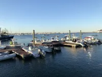 Scituate Harbor Escape!