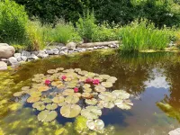 Beautiful 100sqm apartment on the Auenhof in Wustermark in Havelland Hotel a Wustermark