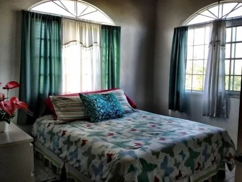beautiful private Villa in Negril