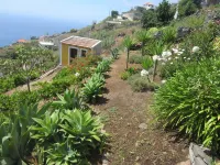 Villa with private pool, large garden and stunning sea view Hotels in Faja Da Ovelha