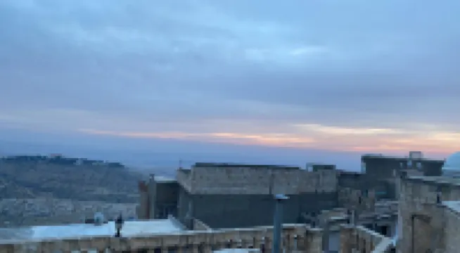 Yeşil periy