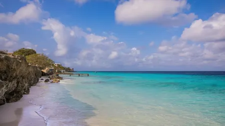 CARAIBAS fully air-conditioned vacation design villa with 20m lap pool