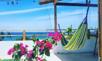 Villa Cecilia Ocean view and pool, pet friendly.