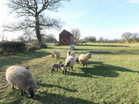 Adelaide Cottage Отели в г. Мейплтон