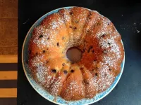 The Towne Motel Hotels in Camden