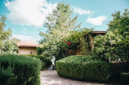 María & Bernardo Casa - Viñedo