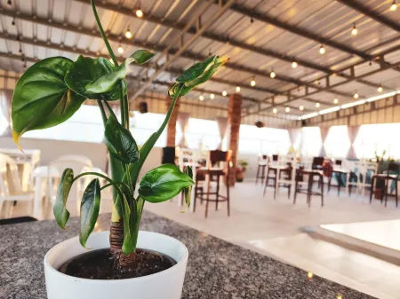 Hotel Quinto Nivel RD Отели в г. Барранка