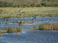 Auplands en-Suite Rooms