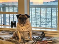 Cannery Pier Hotel & Spa - Scenic